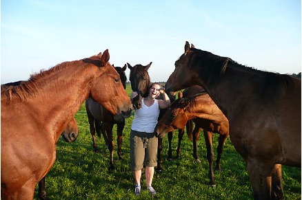 Bungalowpark de Bronzen Emmer Drenthe met paardenstalling en manege VMP019